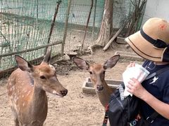 -观唐（国际）度假村温泉