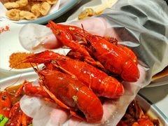 -杨氏青龙虾·羊蝎子(托乐嘉店)