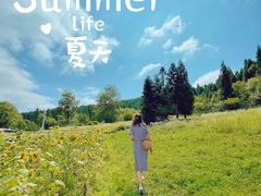 -武陵山森林公园
