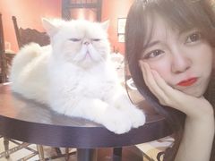 -猫色咖啡·猫咖