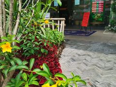 -花溪雨·森林餐厅(石基店)