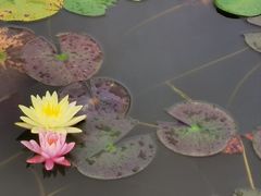-黔灵山公园