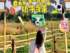 -枫林花海