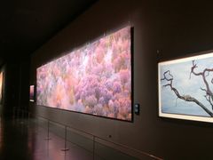 -罗红摄影艺术馆