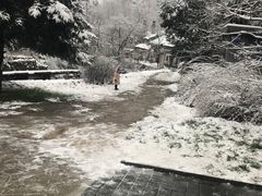 -秦岭终南山世界地质公园翠华山景区