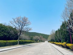 -黄帝陵