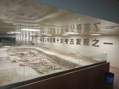 -古车博物馆
