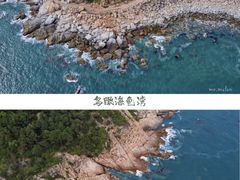 -广东惠东海龟国家级自然保护区