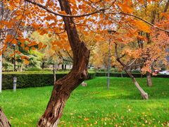 -防灾科技学院(南校区)