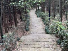 -杭州半山国家森林公园