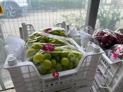 -马陆小张葡萄园农家乐