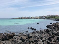 -Cafe Aewol Monsant