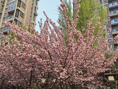 -木塔寺遗址生态公园