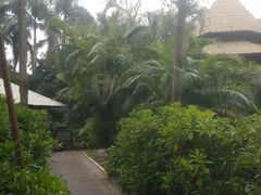 -厦门日月谷温泉渡假村