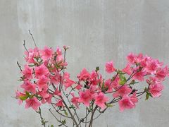 -必胜客(万达店)
