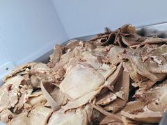 -金鼎雪山牦牛杂火锅(理县总店)