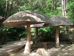 -金龙寺国家森林公园