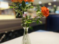 -南棠馆粤菜坊(群光店)