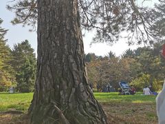 -黑龙江省森林植物园