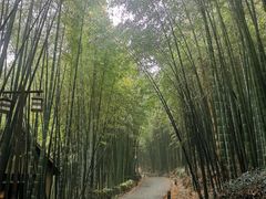 -苏州环秀晓筑养生度假村