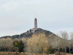 -北坞公园
