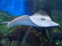-顺德南宏海立方海洋公园