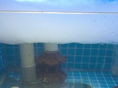 -小贝伦自助餐厅(郎溪国购广场店)