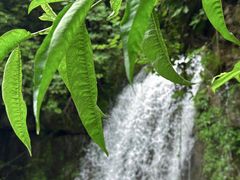 -鹿院坪生态旅游景区