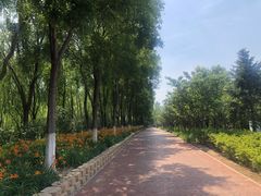 -大兴滨河森林公园