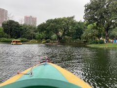 -晓港公园