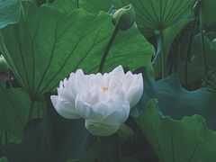 -黄兴公园