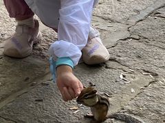 -五营红松林海景区