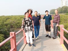 -北海金海湾红树林生态旅游区