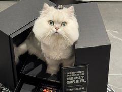 -御品轩(交大一店)
