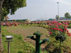 -米果果小镇