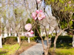 -山东大学(洪家楼校区)