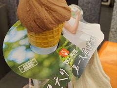 -野人先生Gelato(上海长宁龙之梦店)