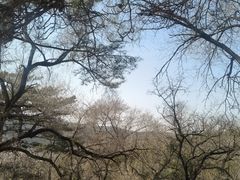 -普陀宗乘之庙(小布达拉宫)
