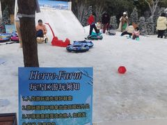 -HERRE·FARM 赫尔露营农场·团建聚会包场