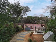 -皖西大裂谷