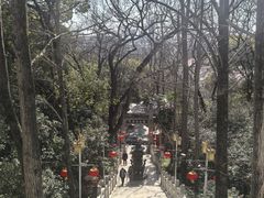 -九华山公园
