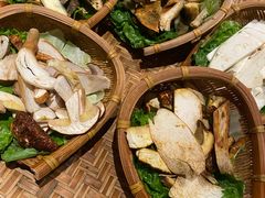 -滇野云南野生菌餐厅(陕西南路店)