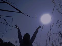 -白鹭湾湿地公园