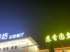 -丁老爷子苏香圆