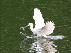 -重庆彩云湖湿地公园