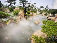 -罗红摄影艺术馆