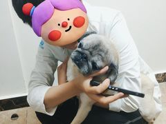 -美联众合动物医院·24h转诊中心