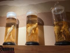 -长寿参鸡汤(朝韩风情街店)