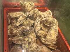-亚马逊蒸汽活海鲜自助(LCM置汇旭辉广场店)