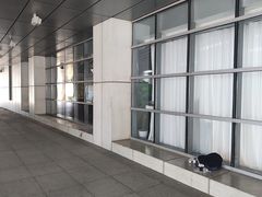 -武汉琴台钢琴博物馆